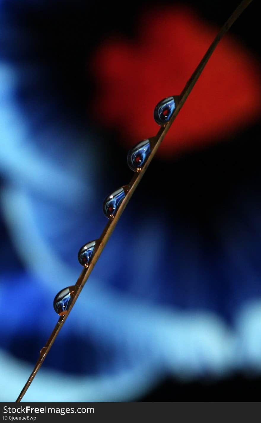 Water, Close Up, Macro Photography, Drop