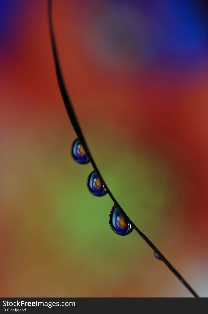 Blue, Water, Drop, Macro Photography