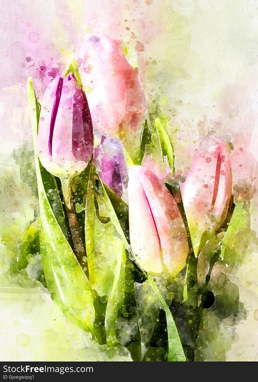 Flower, Watercolor Paint, Flowering Plant, Petal