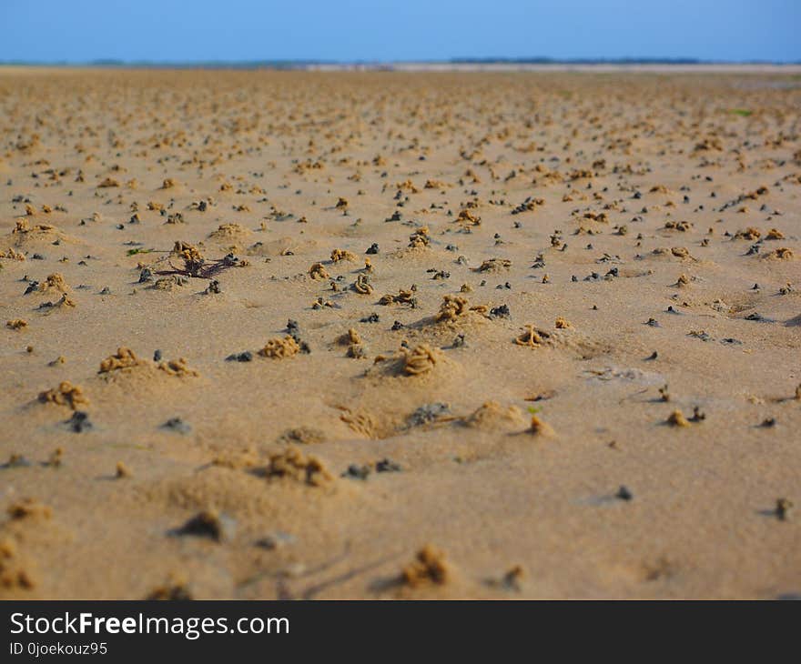 Ecosystem, Ecoregion, Sand, Steppe