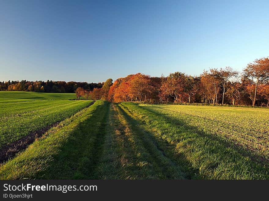 Sky, Nature, Field, Grassland