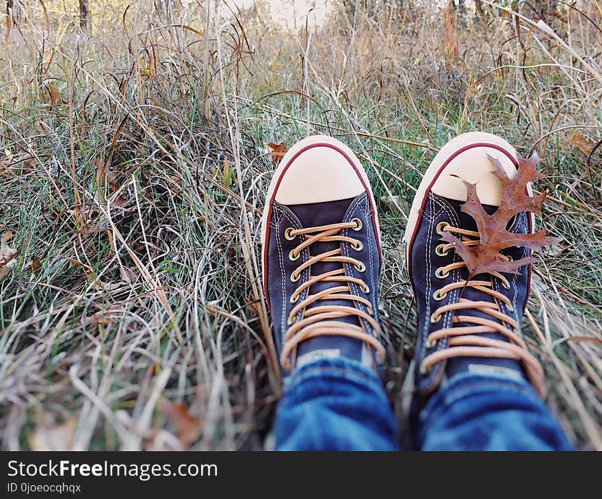 Footwear, Grass, Shoe, Plant