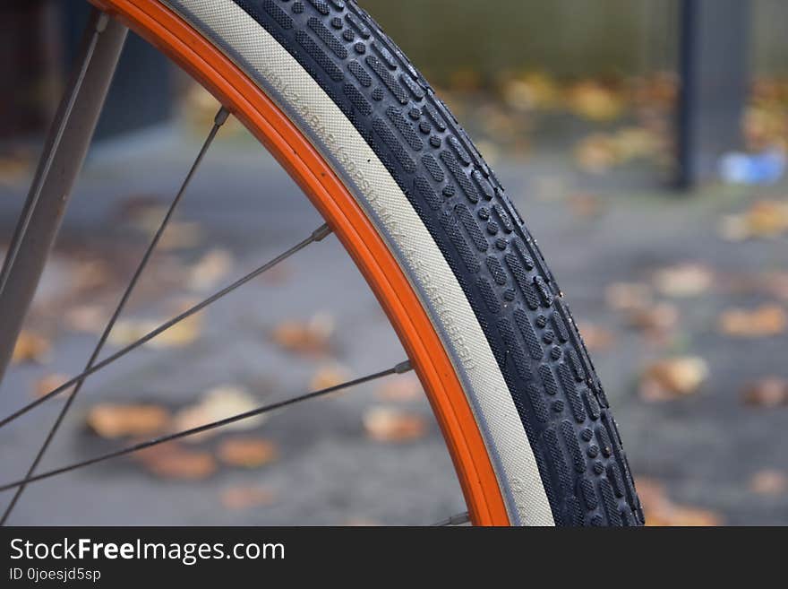 Bicycle Wheel, Bicycle, Road Bicycle, Tire