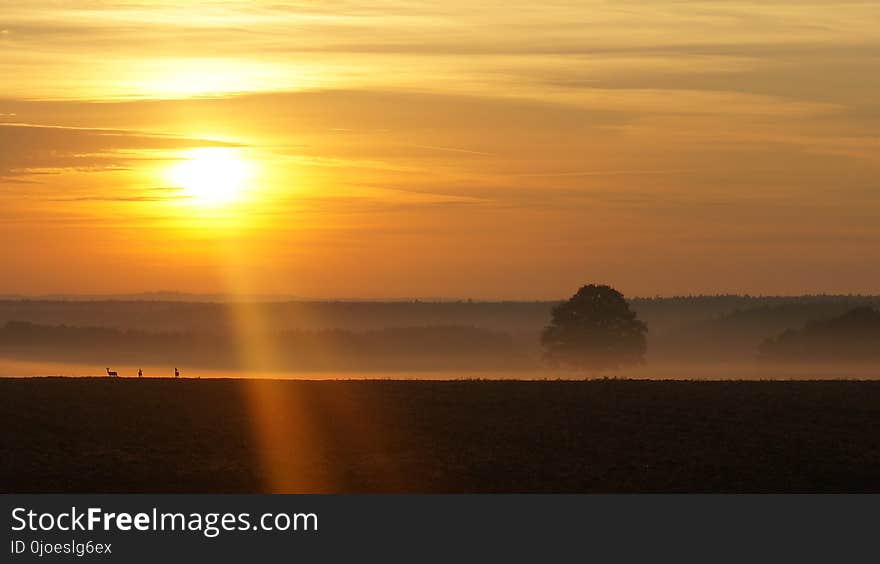 Horizon, Sunrise, Sky, Afterglow