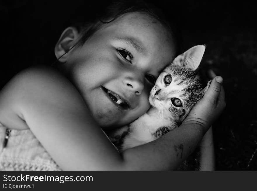 Face, Cat, Black, Black And White