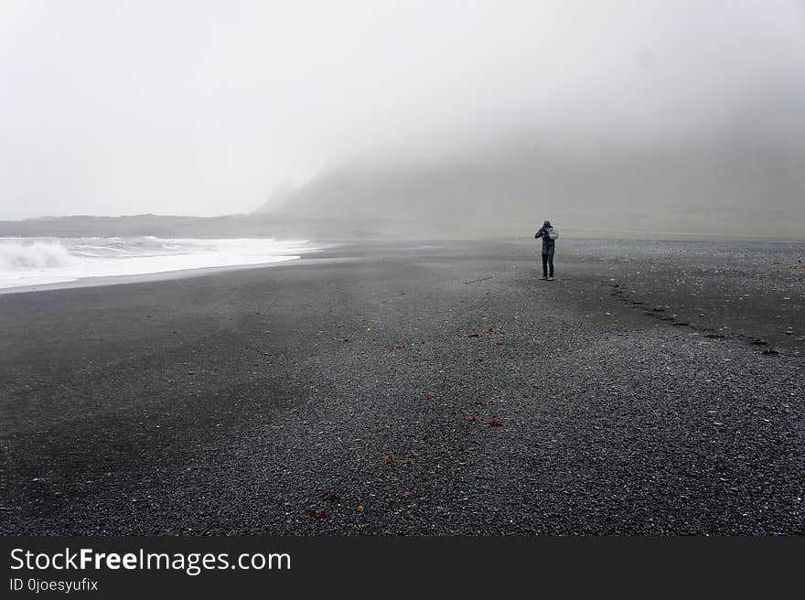 Fog, Sea, Shore, Coast