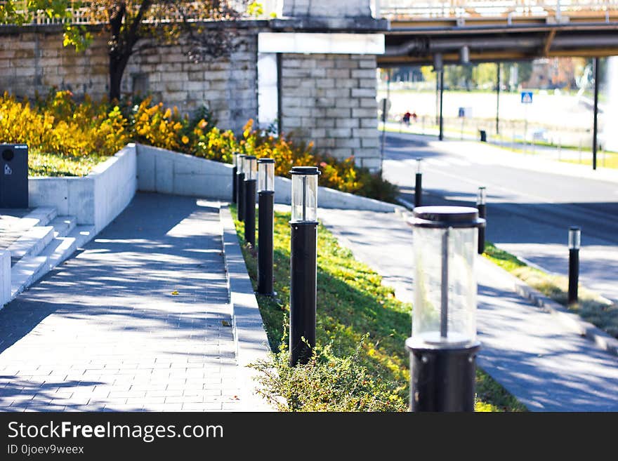 Walkway, Outdoor Structure, Tree, Recreation