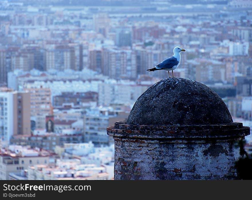 Sky, City, Urban Area, Landmark