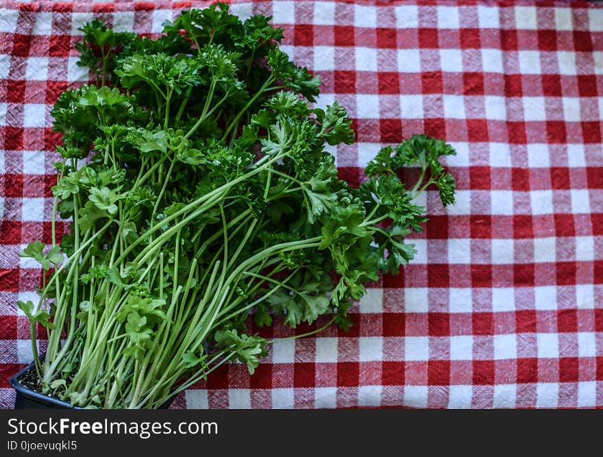 Vegetable, Leaf Vegetable, Plant, Produce