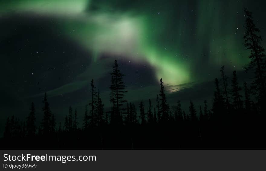 Aurora, Nature, Atmosphere, Sky