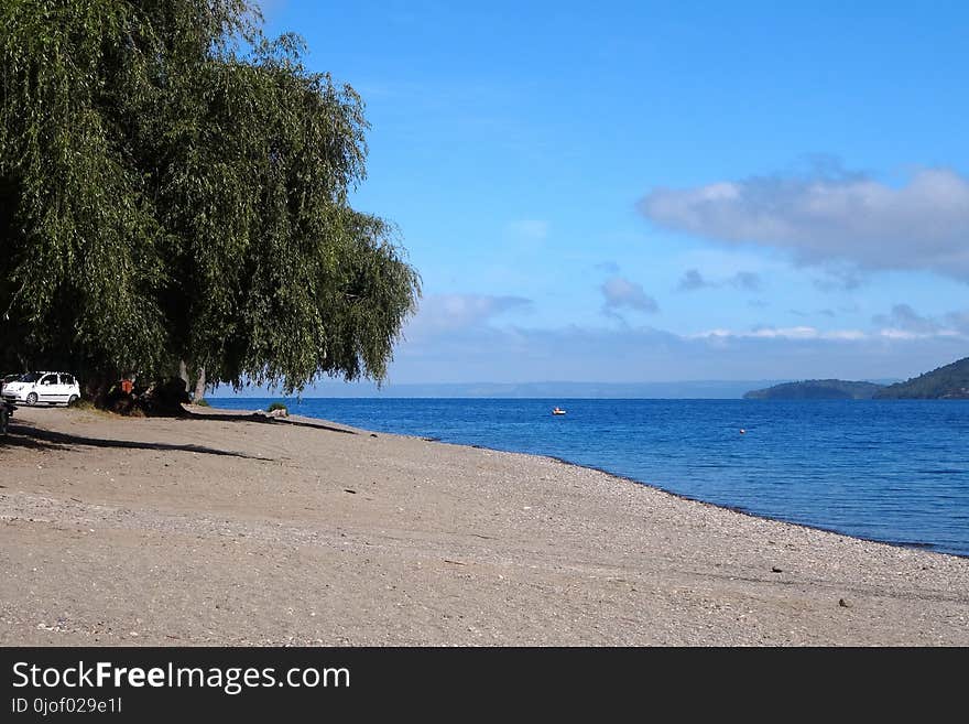 Coast, Shore, Sea, Body Of Water