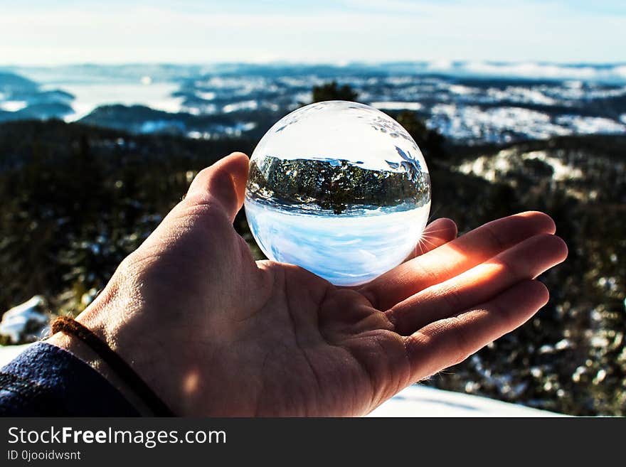 Photo of Person Holding Ball