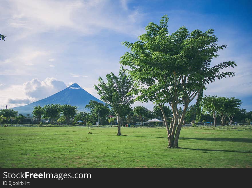 Landscape Photography of Open Field With Tree With Mayon Volcano Background