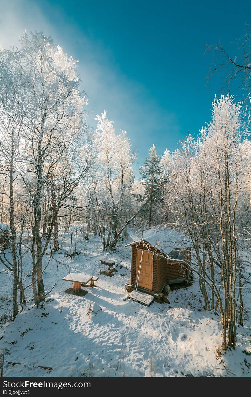 Brown House Near Snow Covered Tree