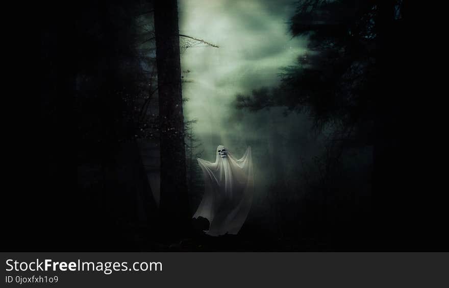 Darkness, Atmosphere, Forest, Mist