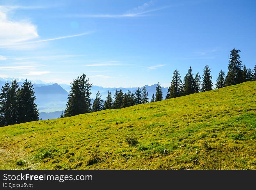 Grassland, Sky, Nature, Mountainous Landforms