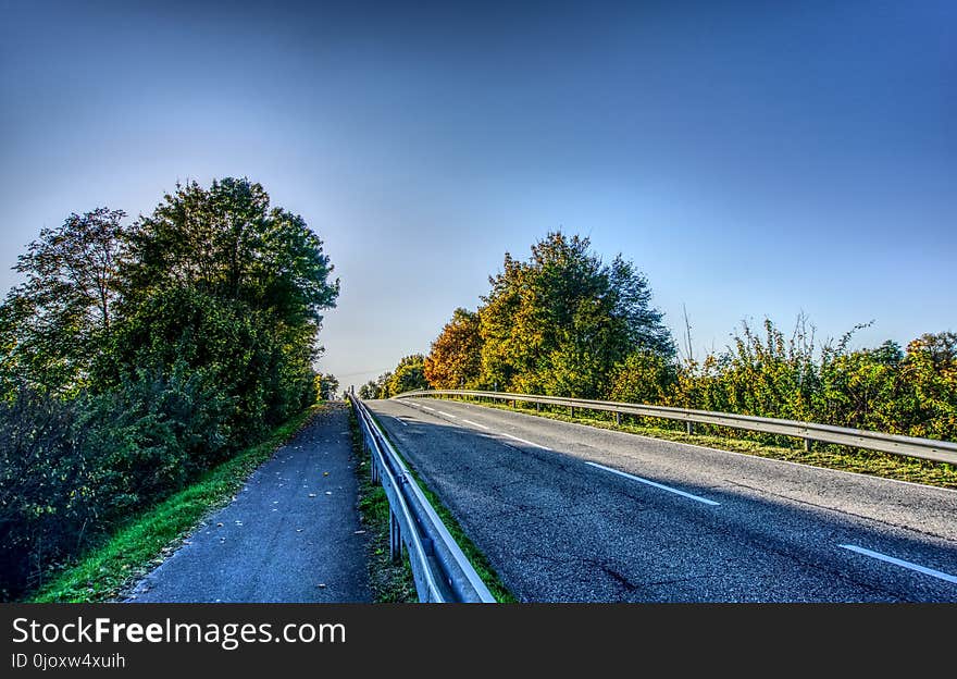 Road, Sky, Nature, Tree