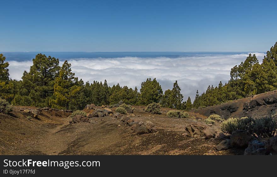 Wilderness, Mountain, Mountainous Landforms, Tree