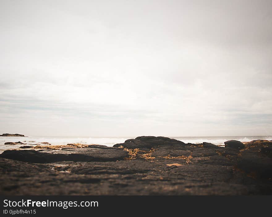 Black Soil and Body of Water