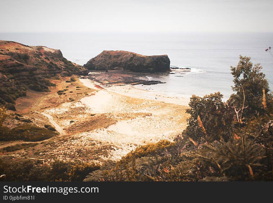 Areal Photograph of Beach