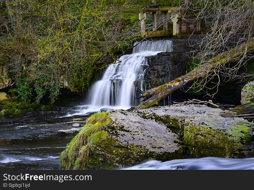 Waterfall Surrounded by Plants