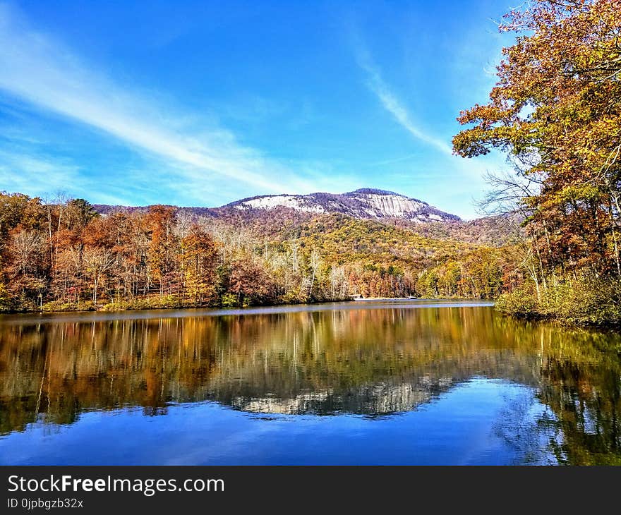 Body of Water Surrounded by Trees