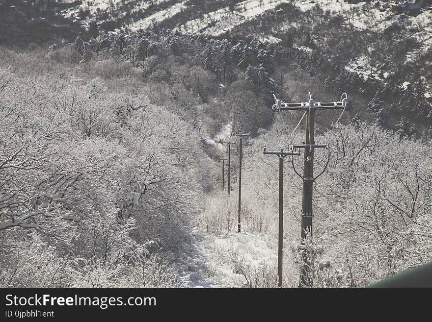 Photo of Electricity Transmission Surrounded With Trees