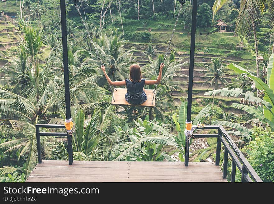 Girl Swinging Above Green Trees at Daytime