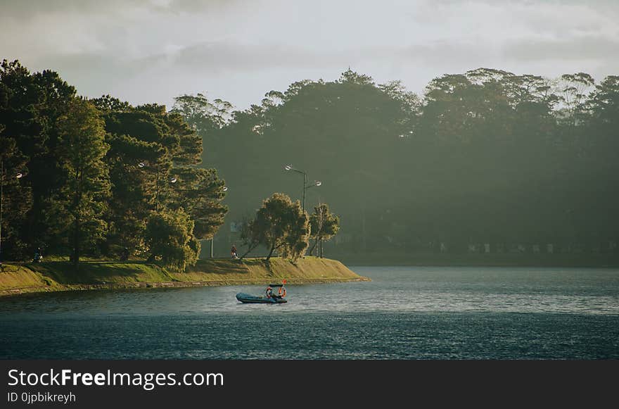 Green Leaf Trees Beside Body of Water