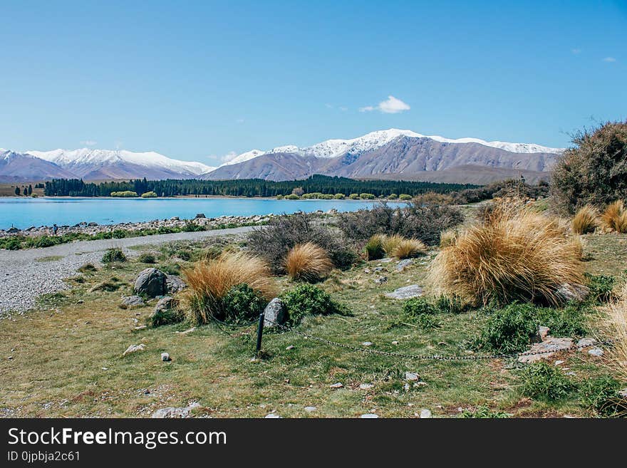 Grass Field Near Body of Water Under Blue Sky