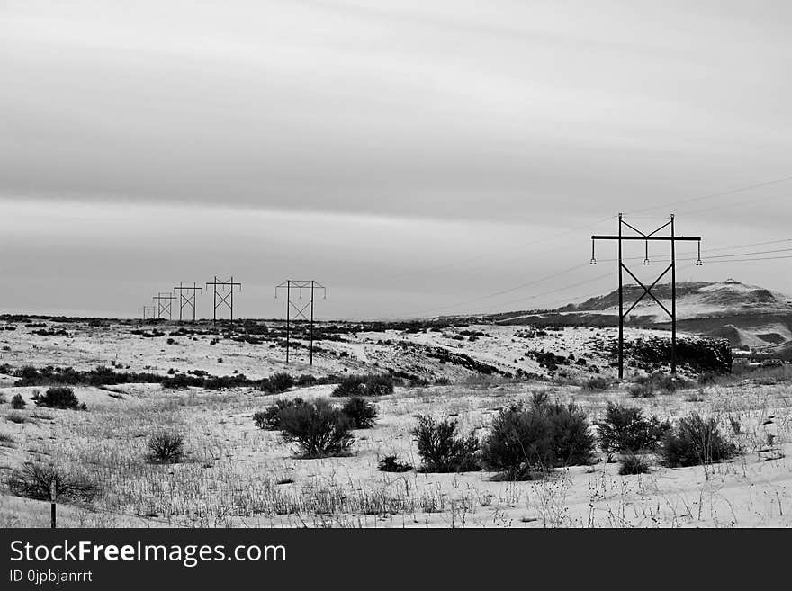 Electric Posts on Dry Field