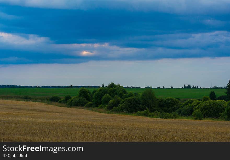 Green and Brown Grass Field