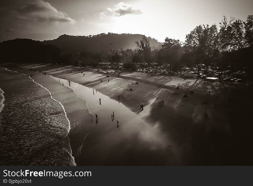 People on Beach Grayscale Photo