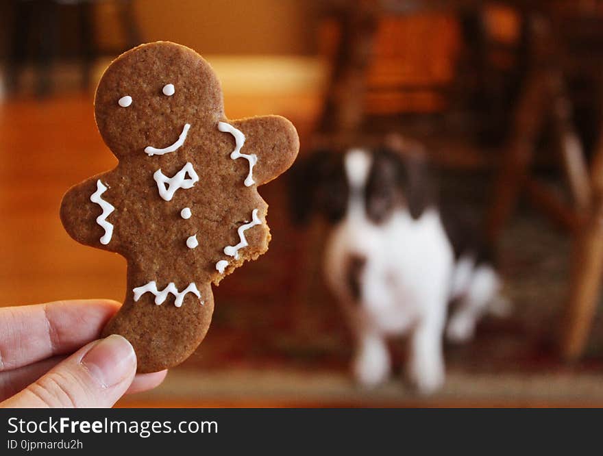 Close-up Photography of Gingerbread