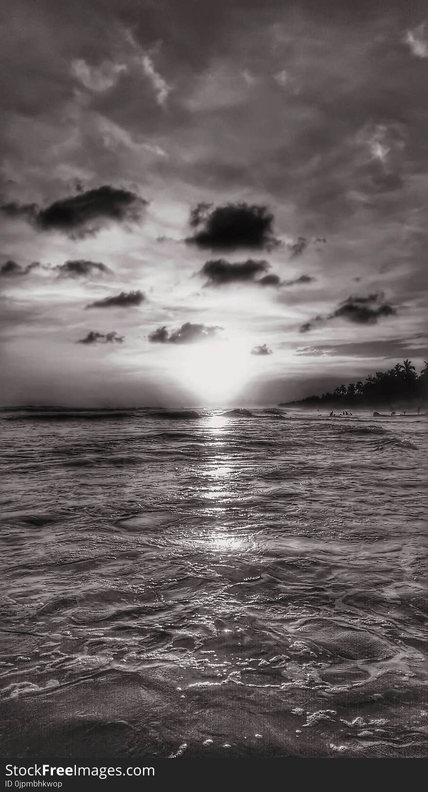 Grayscale Photo Of Sea