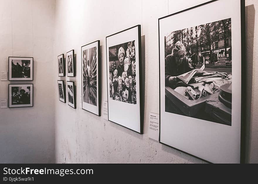 Photography of Grayscale Portraits on Wall