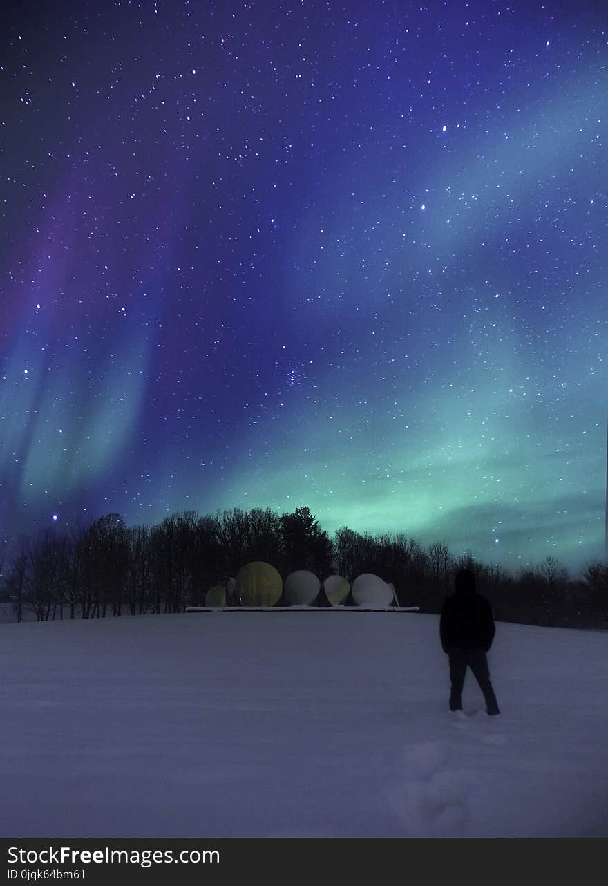 Person Wearing Black Jacket Standing on Snowy Field during Nighttime