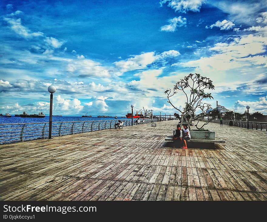 Couple Sitting on Bench Near Tree Under White Skies