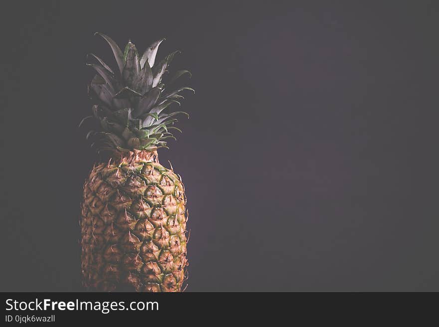 Photography of Pineapple