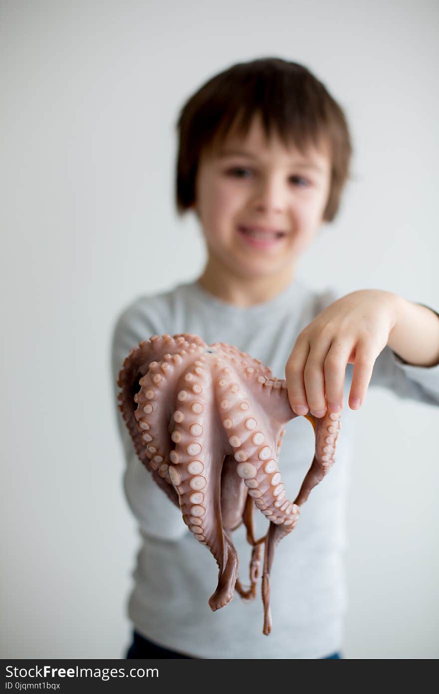 Cute preschool child, boy, holding raw octopus