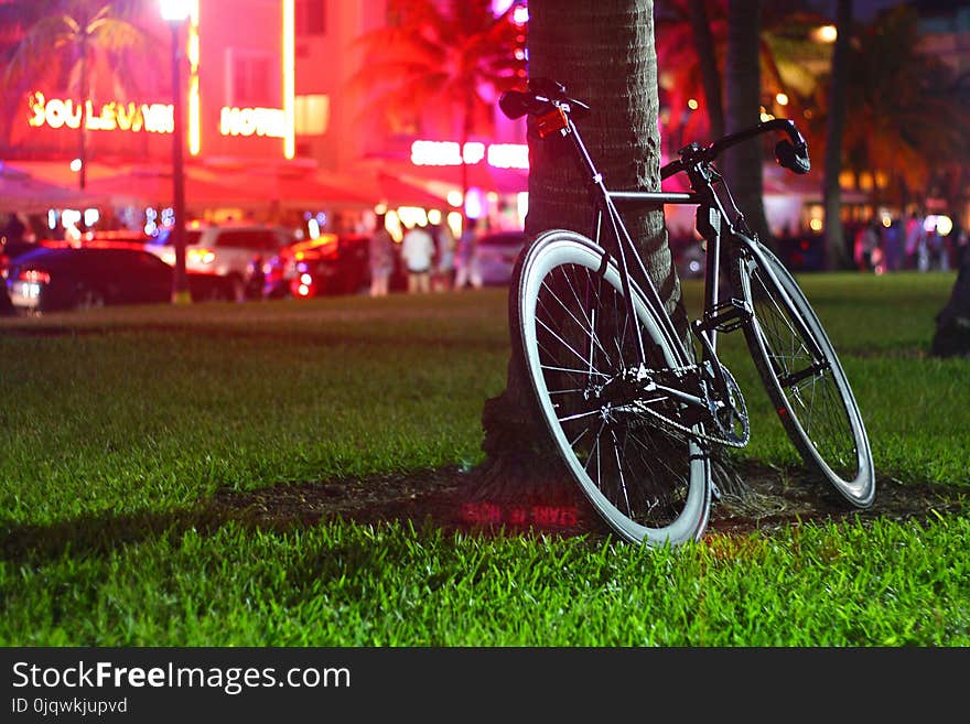 Bicycle, Land Vehicle, Road Bicycle, Yellow