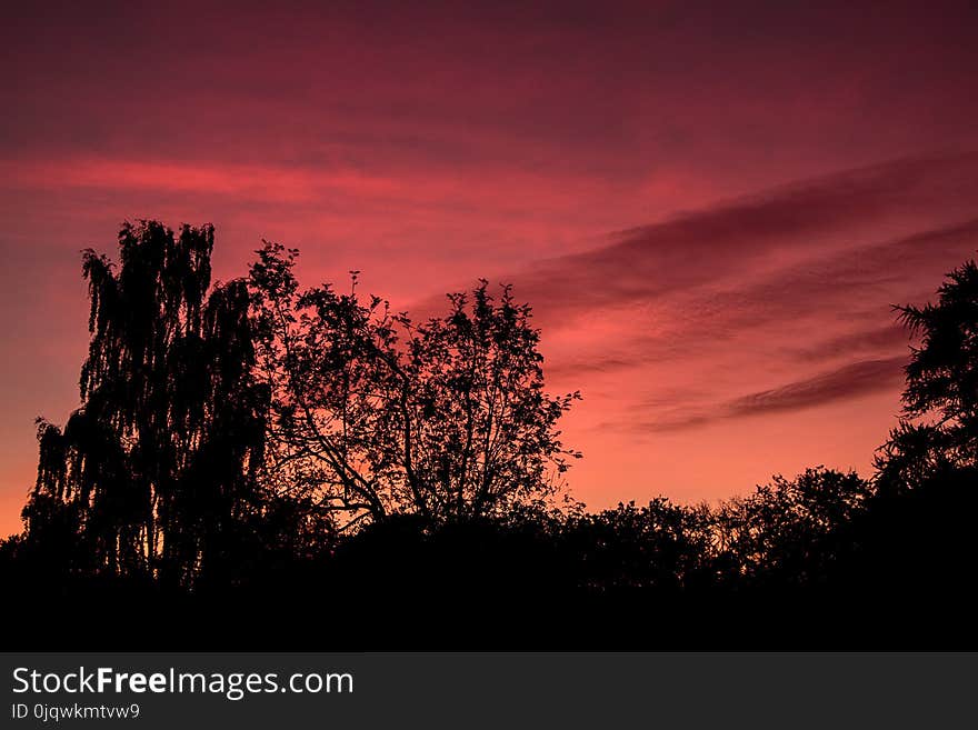 Sky, Red Sky At Morning, Afterglow, Nature