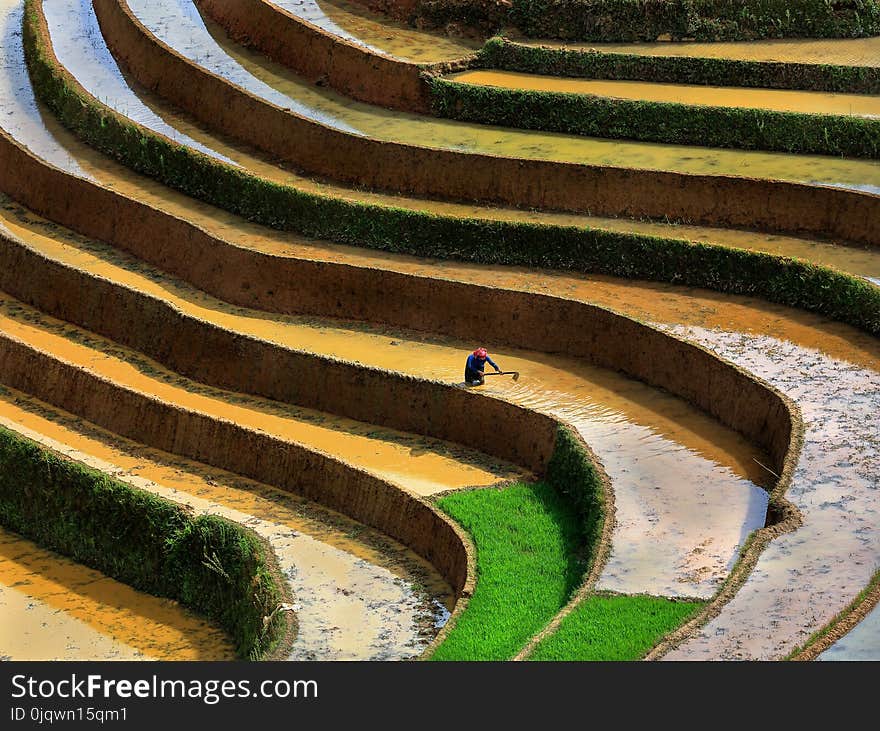 Landscape, Terrace, Grass, Field