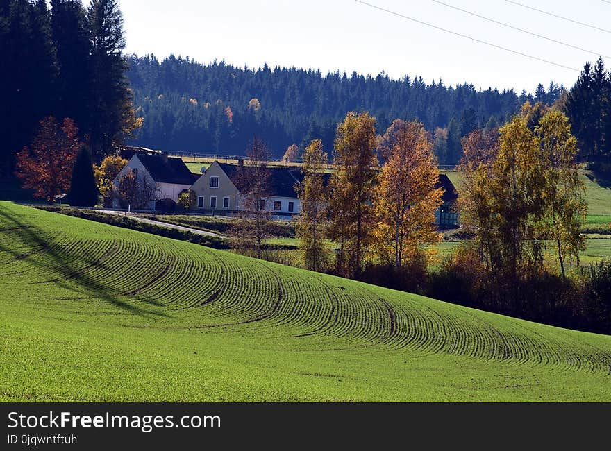 Nature, Grassland, Field, Farm