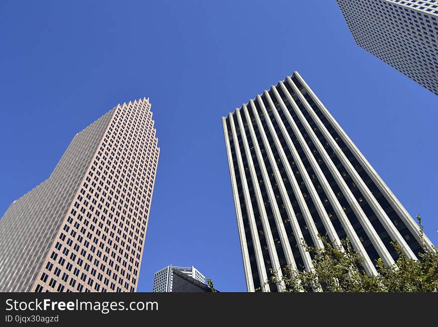 Skyscraper, Metropolitan Area, Building, Daytime