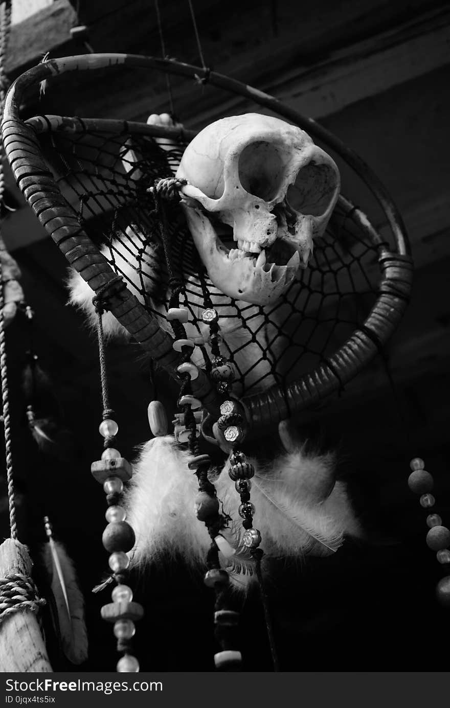 Black, Black And White, Monochrome Photography, Skeleton