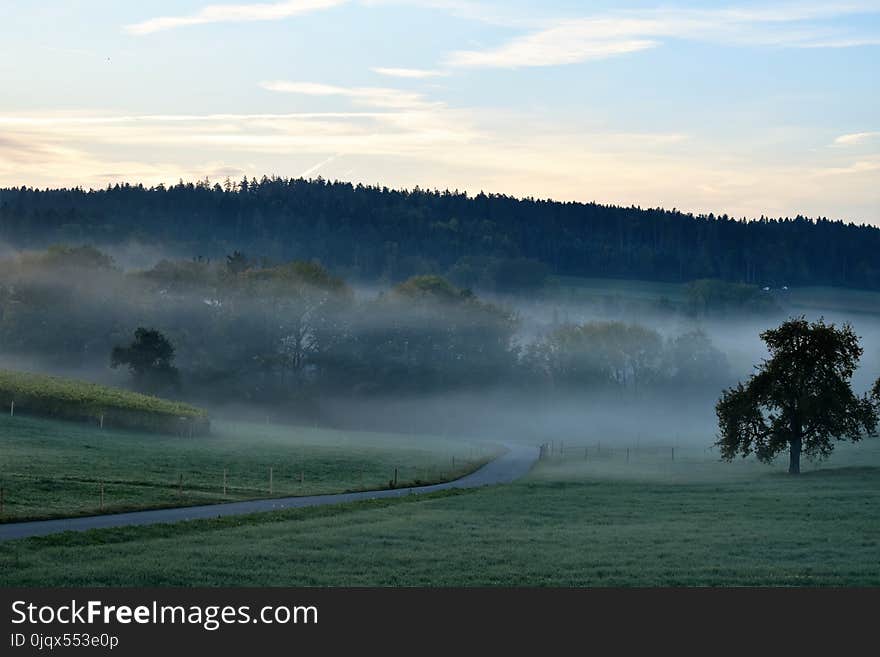 Mist, Sky, Morning, Dawn