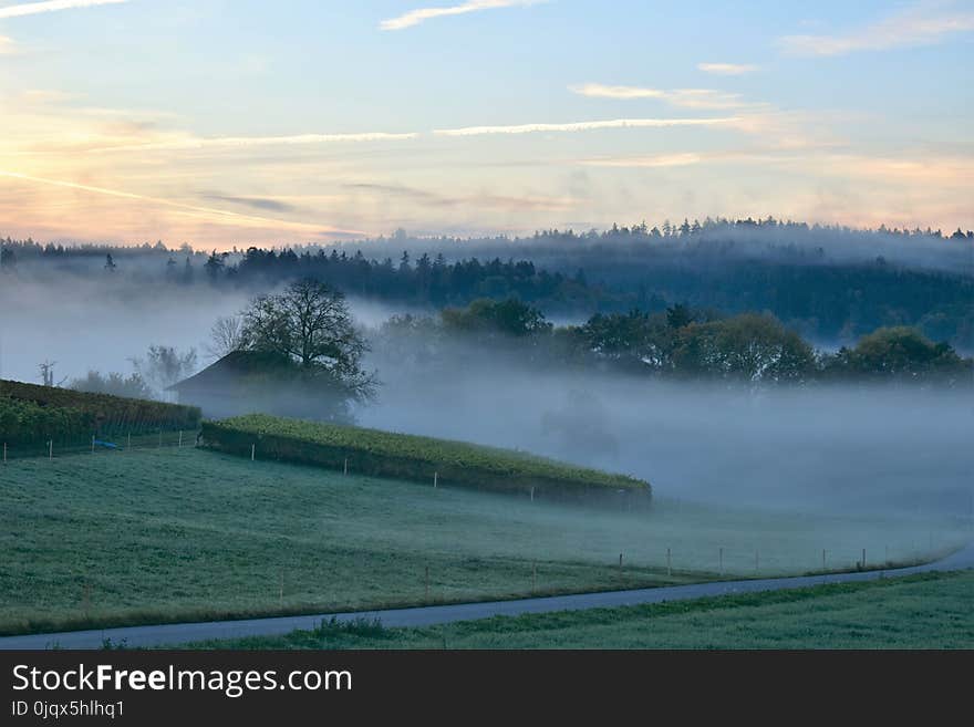 Mist, Nature, Dawn, Morning