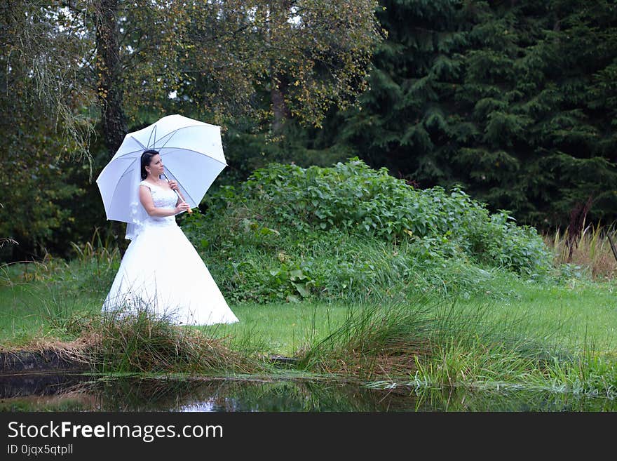 Photograph, Ecosystem, Grass, Tree