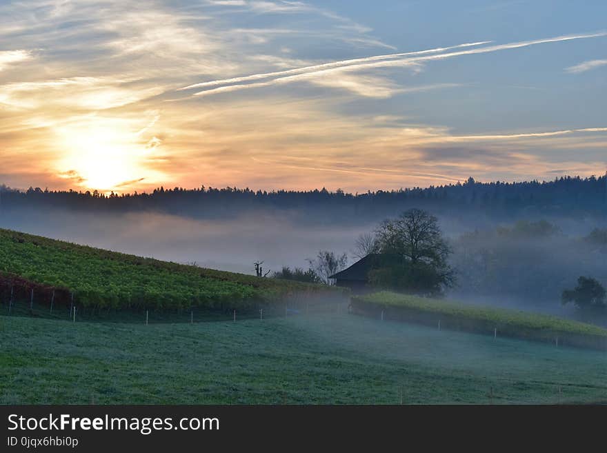 Sky, Dawn, Morning, Mist